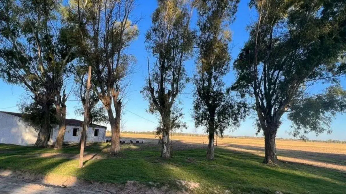 VENTA LOTE FINCAS JOVEN EN SAN VICENTE 620 MTS. 2