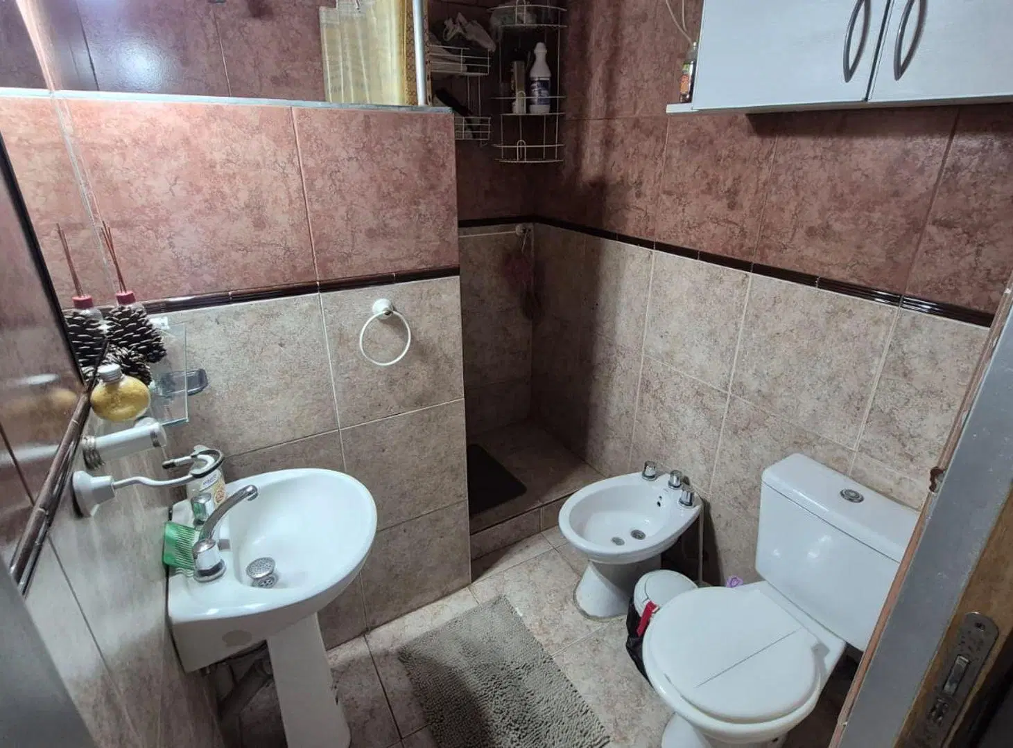 CASA 3 AMBIENTES CON QUNCHO LOTE PROPIO 371 4
