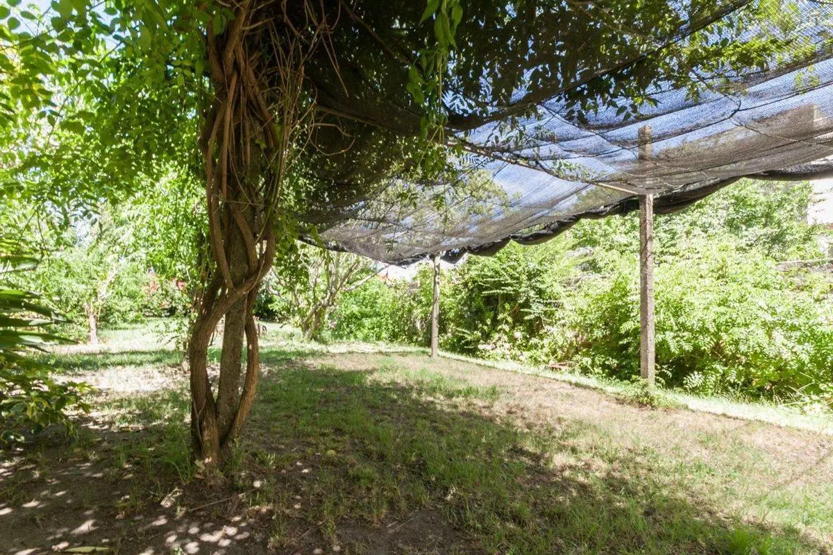 VENTA DE 2 CASAS EN  AMPLIO LOTE OPORTUNIDAD 3