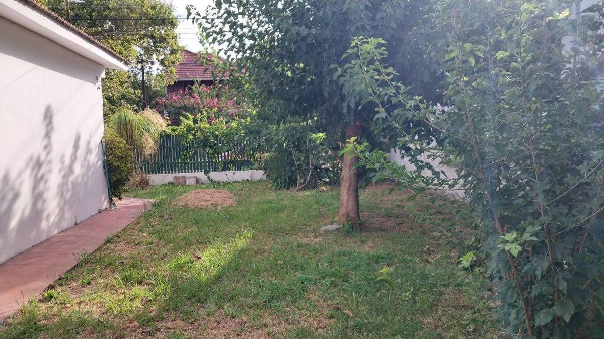 Foto de ALQUILER DE CASA BUENA UBICACION DOBLE TERRRENO, imagen 5