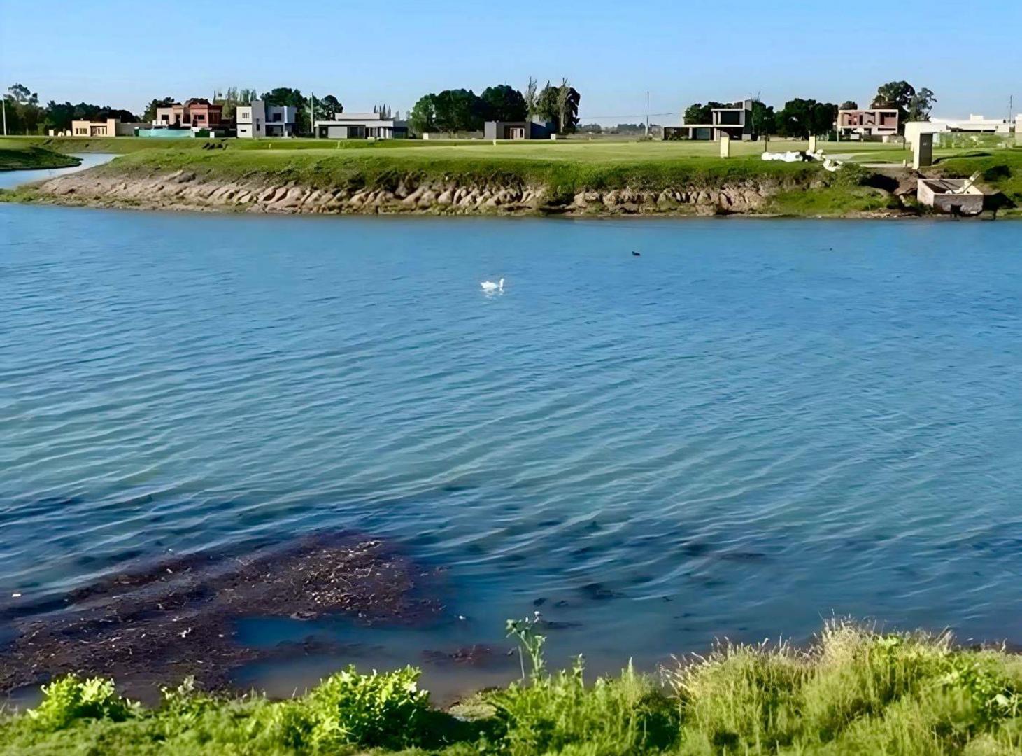 Foto de TERRENO EN LA ALAMEDA FRENTE A LAGUNA, imagen 4