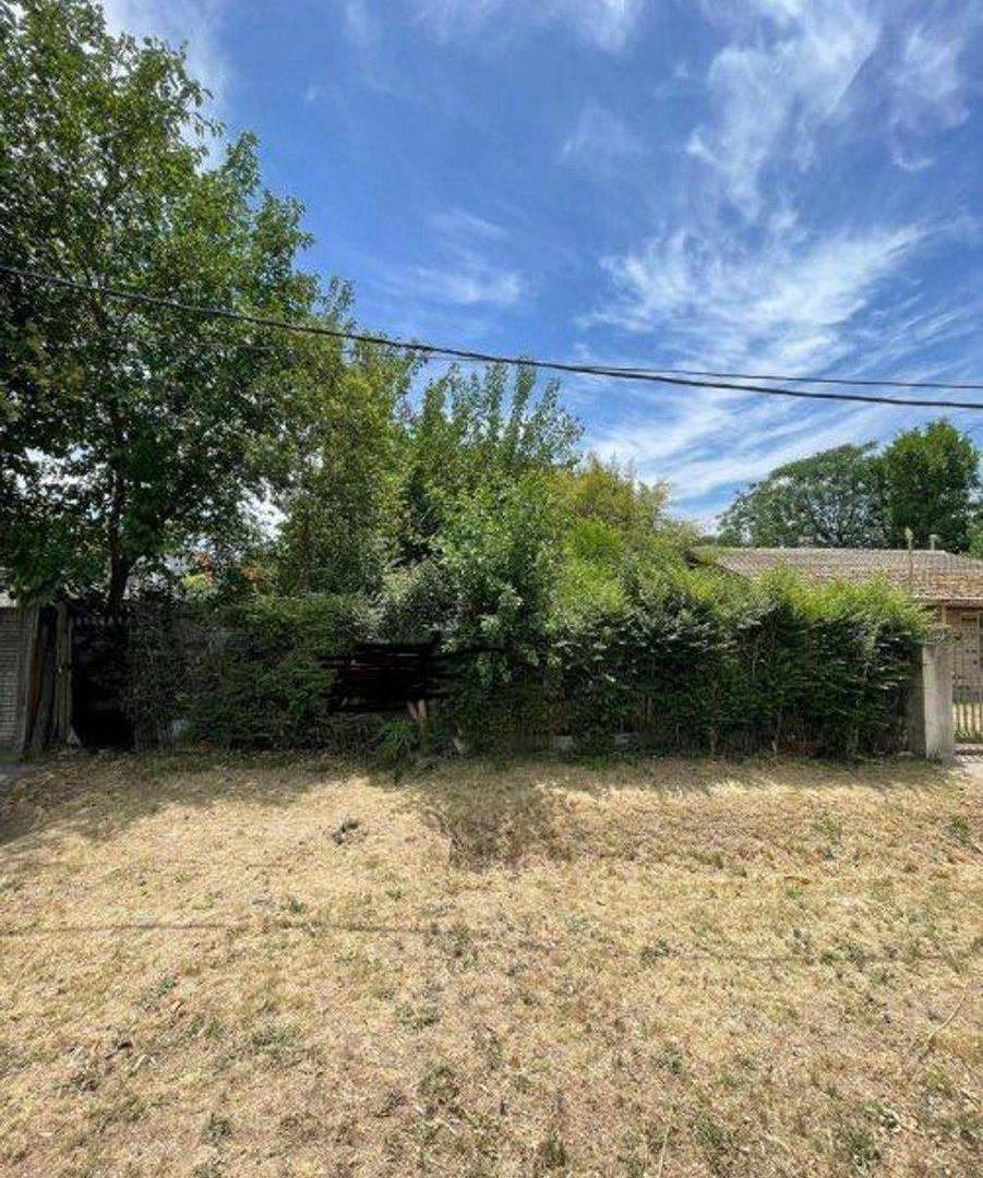 LOTE SOBRE AVENIDA DE 12.5 X 65 FONDO TOTAL 812,50