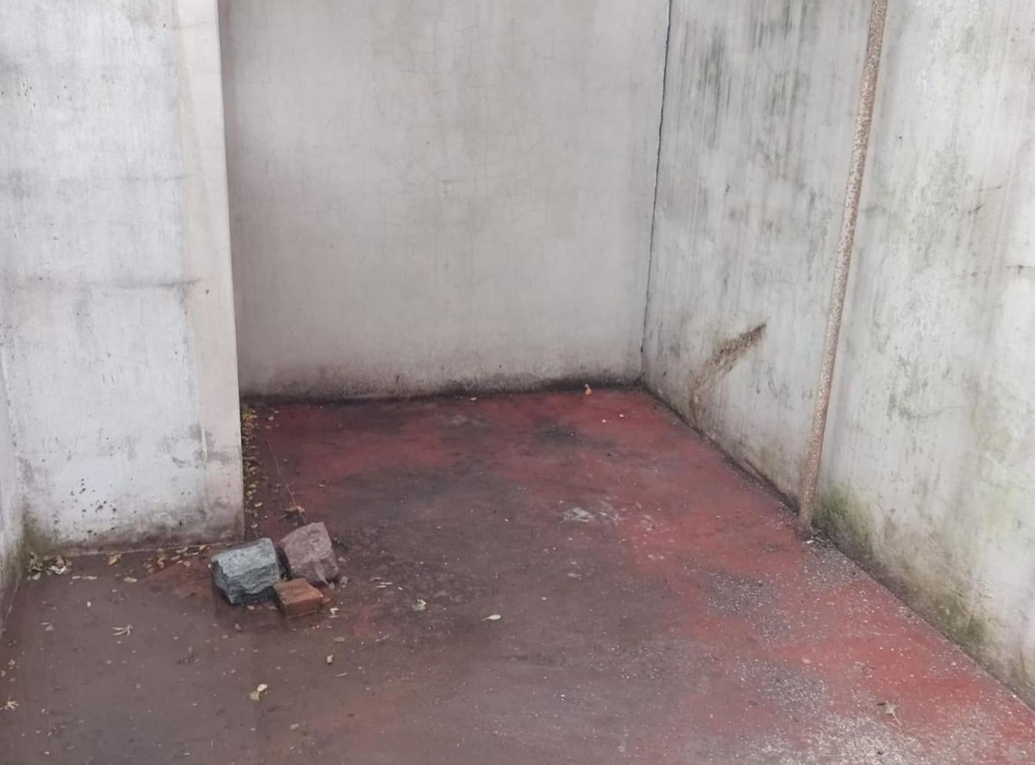 Foto de CASA A REFACCIONAR SOBRE LOTE DE 433 M2. BANFIELD, imagen 4