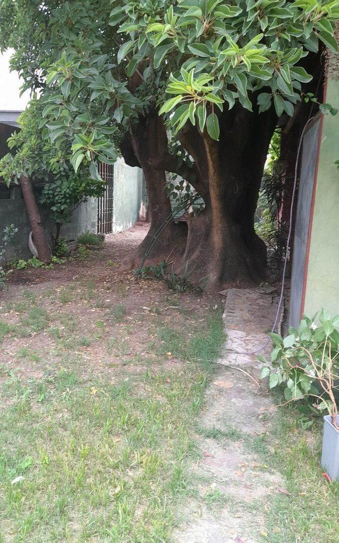 Foto de 2 PH SOBRE (LOTE 422M2) OPORTUNIDAD UNICA!!!, imagen 3