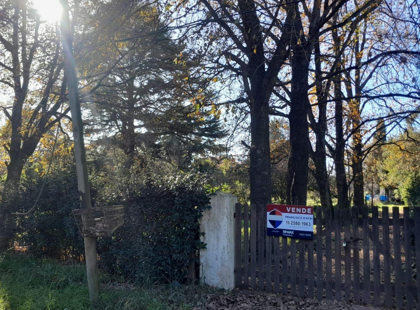 Foto de Venta de 3 lotes en block en Glew., imagen 5