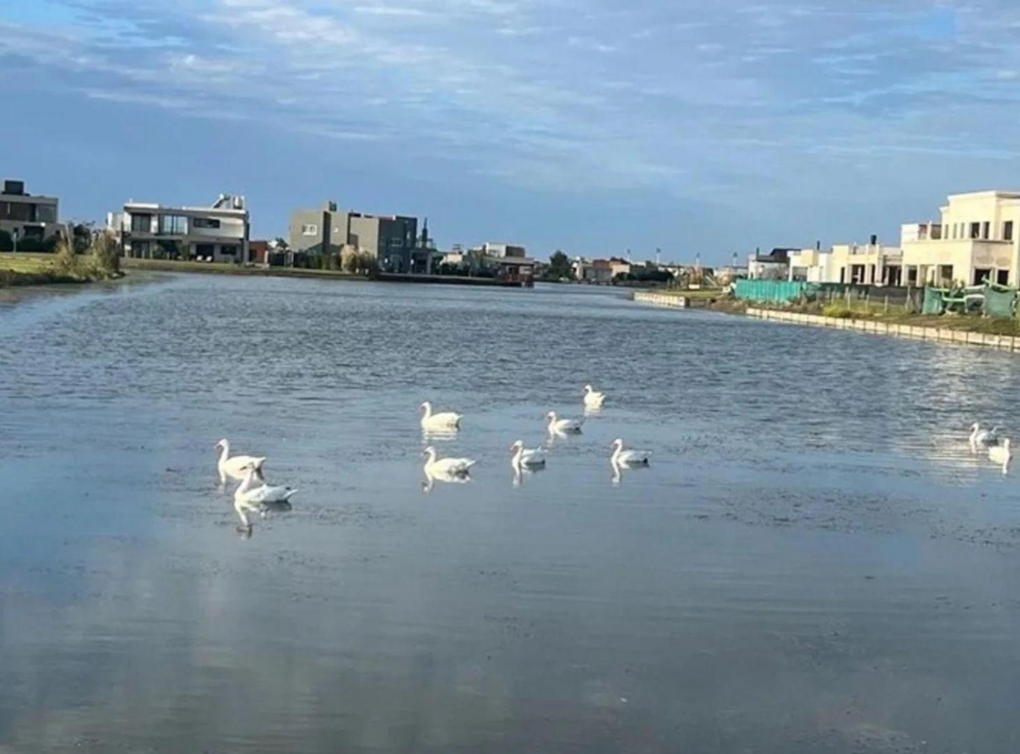Foto de LOTE 236 A LA LAGUNA 840 m2 - Bª PRIVAD MAGALLANES, imagen 5