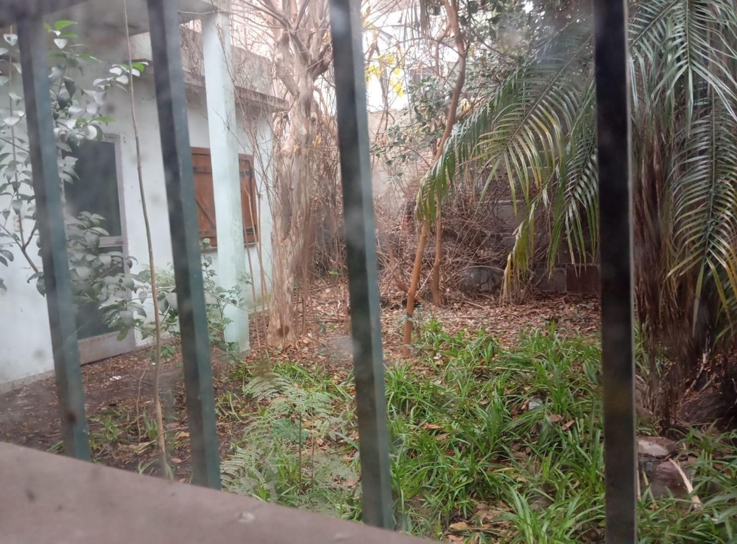 Foto de Casa Sobre Lote Propio a Refaccionar en Gerli, imagen 5