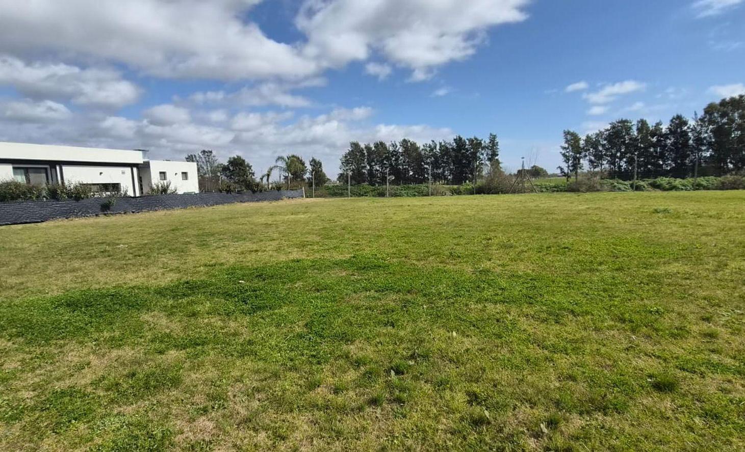 Foto de Excelente Lote 761 m² en Villa Lobos, imagen 4