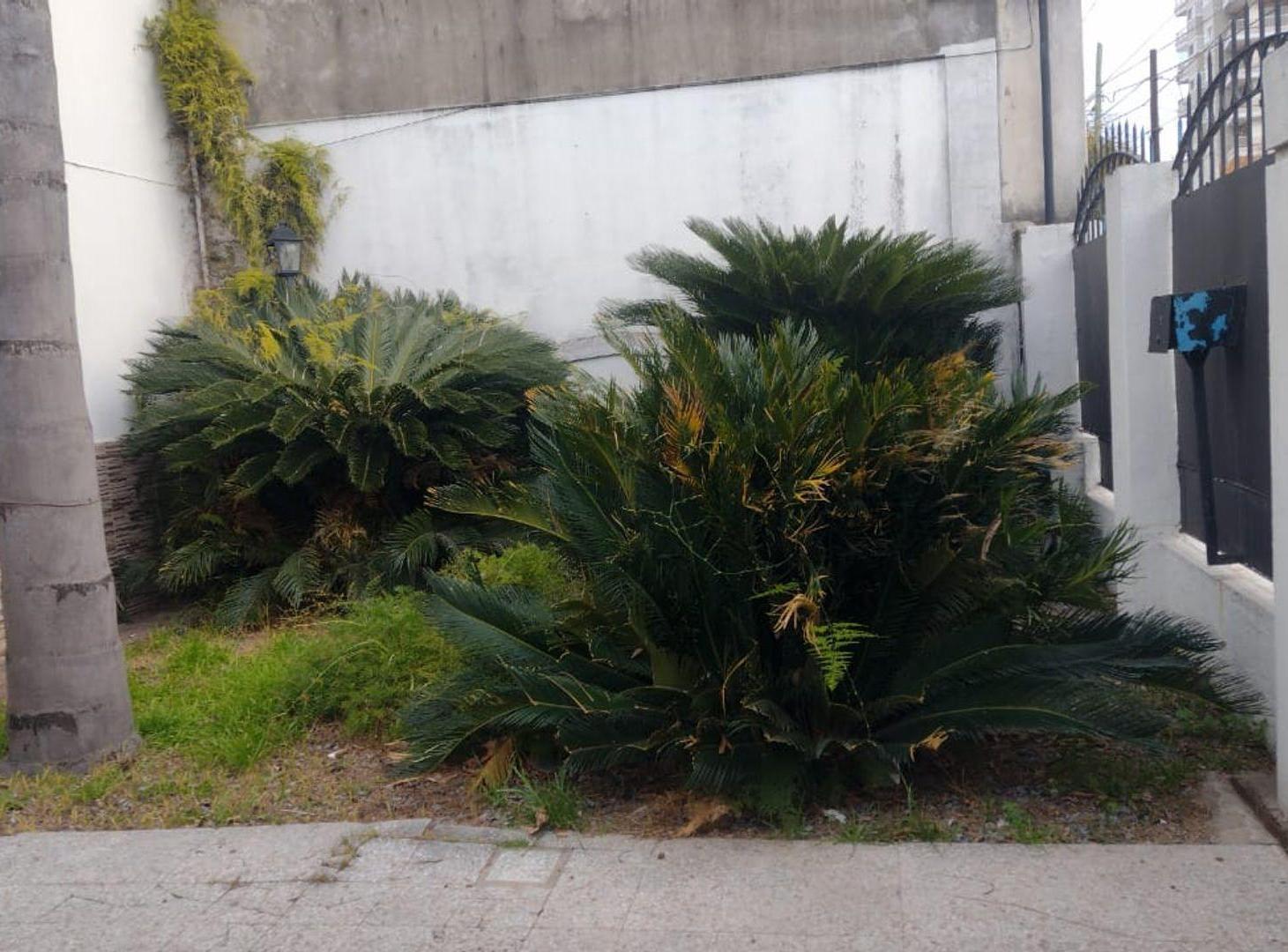 Foto de CASA EN VENTA C/CUARTO HUESP. PILETA PARQUE Y COCH, imagen 5