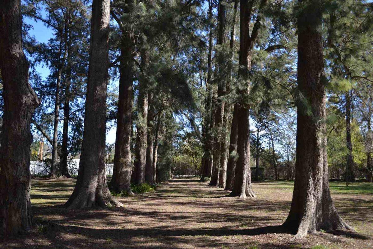 QUINTA EN VENTA SOBRE LOTE 10000 M2 - GUERNICA