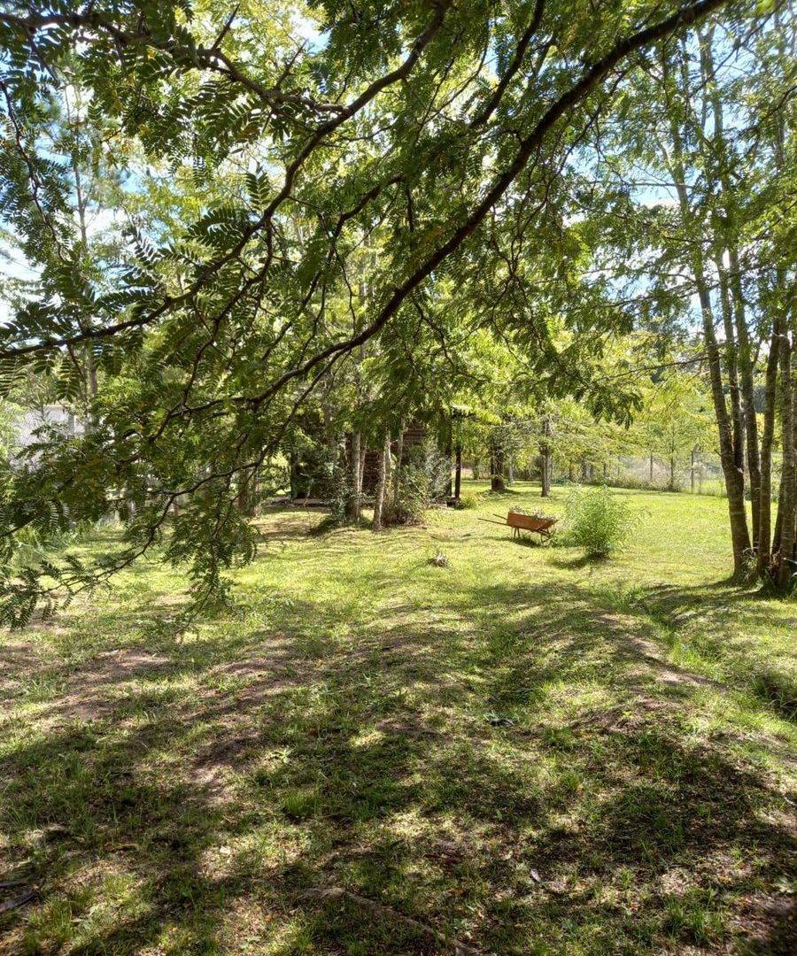 Foto de VENTA IMPORTANTE LOTE 1200 M LAS ACACIAS BRANDSEN, imagen 2