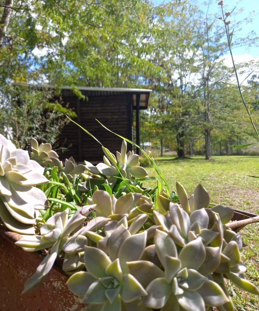 Foto de VENTA IMPORTANTE LOTE 1200 M LAS ACACIAS BRANDSEN, imagen 1