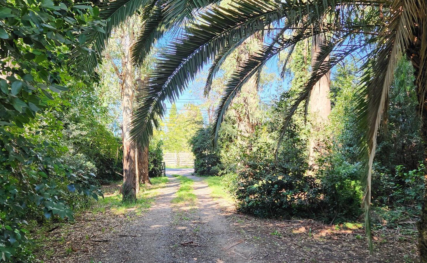 Foto de Terreno en venta - Maschwitz - Escobar - Apto desarrollo, imagen 3