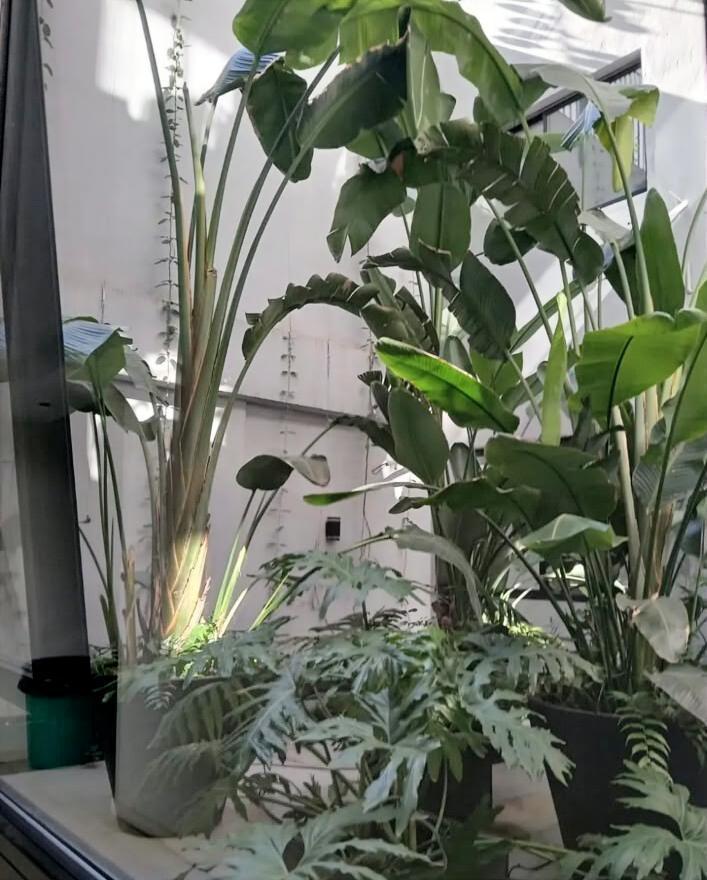 Foto de Departamento en Villa Ortuzar, imagen 4