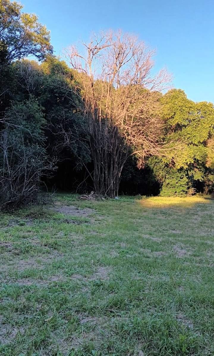 Terreno Sobre Camino Al Cuadrado. 500 Mtos E53 4