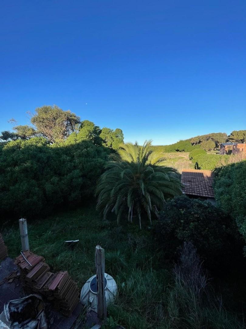 Foto de Casa Chalet en Venta en Chapadmalal, General Pueyrredón, Costa Atlántica, imagen 3