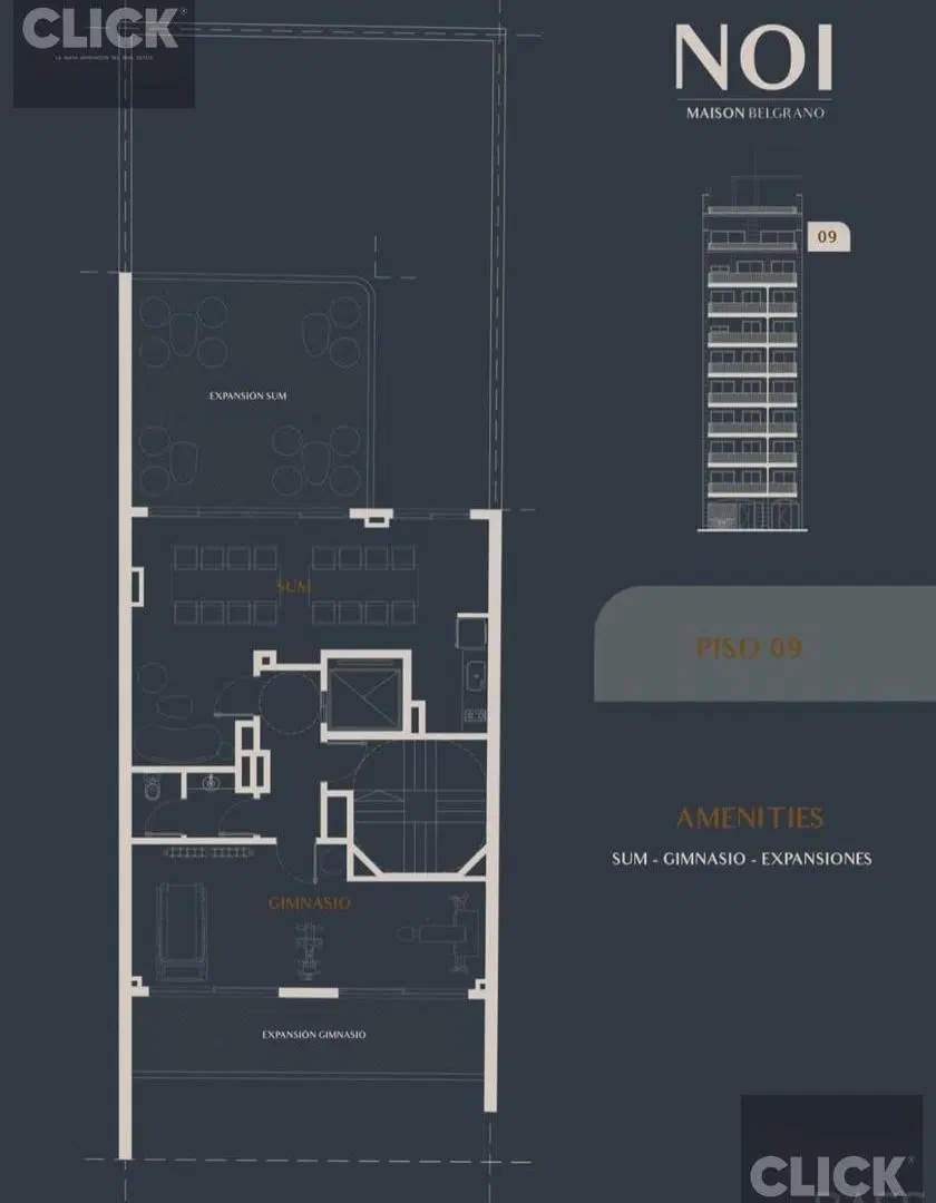 Plano 6