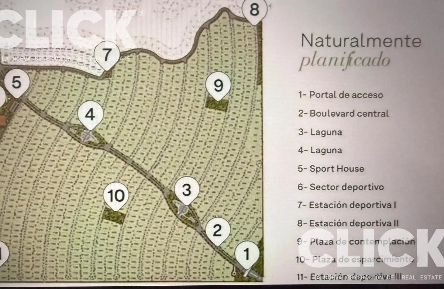 Plano 1