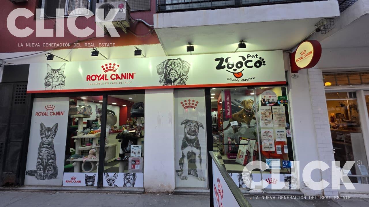 Foto de Local en Palermo Botanico, imagen 3