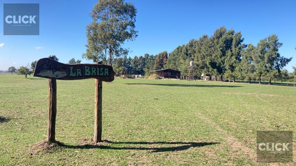 Foto de Cabaña en venta sobre Gran fracción de 4 lotes Presidente Perón, imagen 1