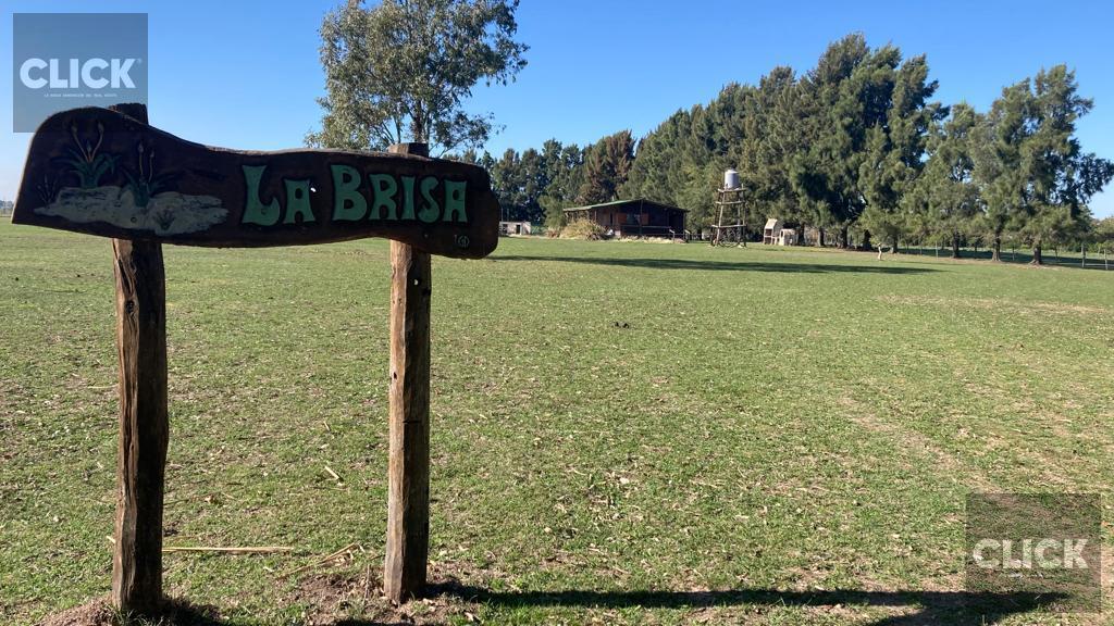 Foto de Cabaña en venta sobre Gran fracción de 4 lotes Presidente Perón, imagen 3