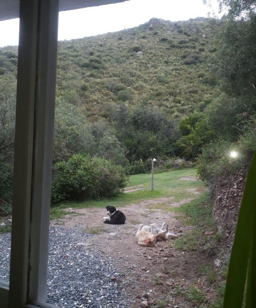 Foto de CABAÑA EN LA MONTAÑA, imagen 4