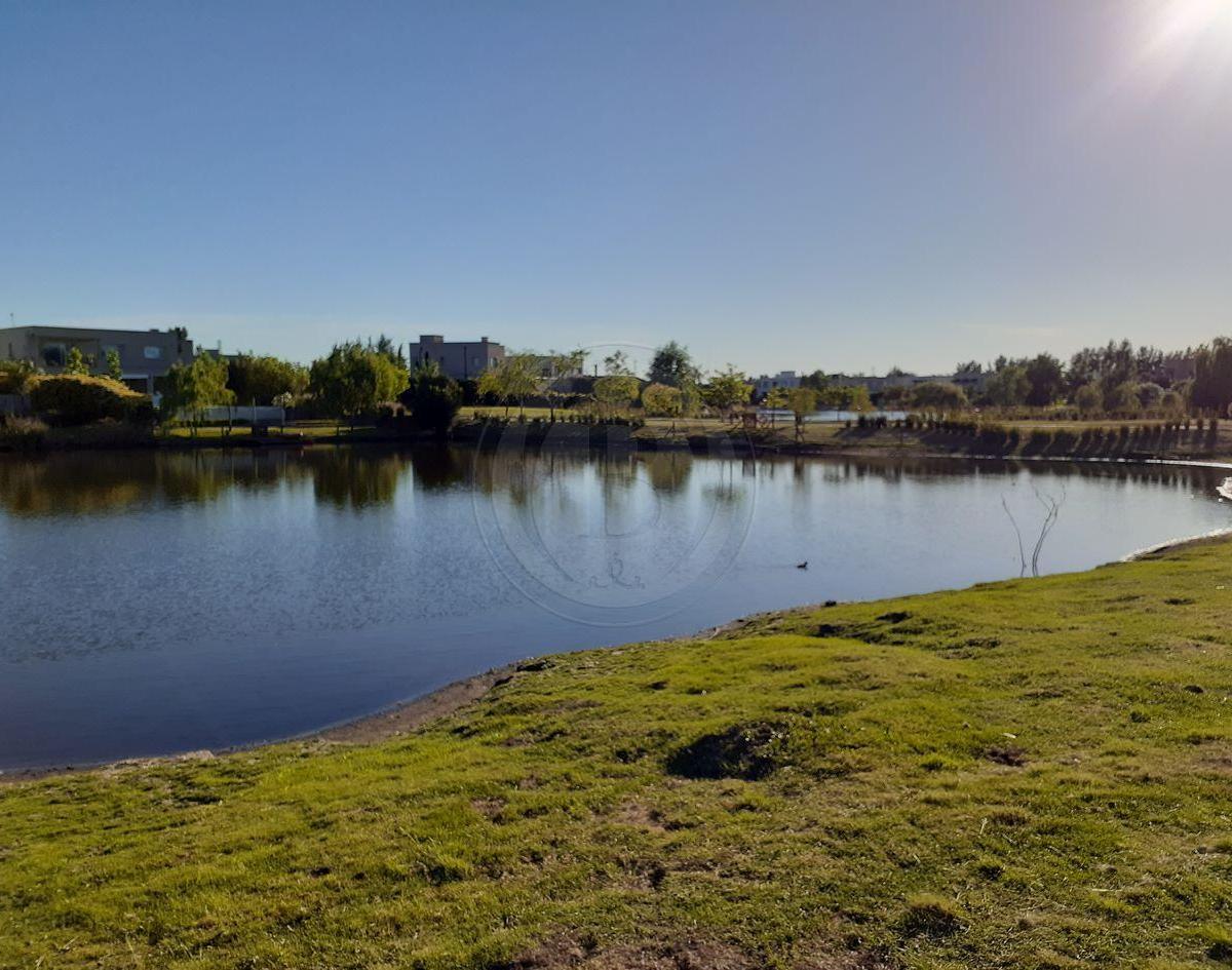 Foto de BUSTAMANTE PROP SAN FRANCISCO 10386 LOTE VENTA VILLANUEVA TIGRE, imagen 5