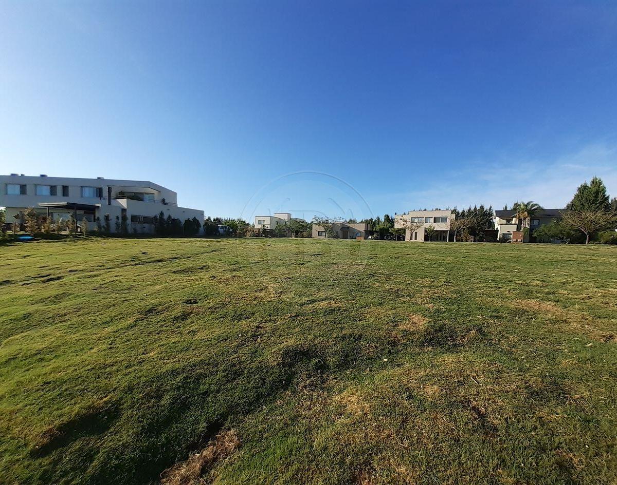 Foto de BUSTAMANTE PROP SAN FRANCISCO 10395 LOTE VENTA VILLANUEVA TIGRE, imagen 4