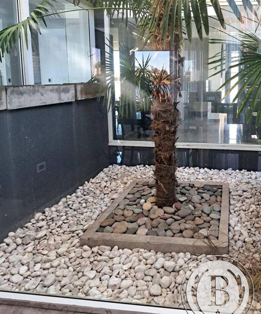Foto de BUSTAMANTE PROP SAN AGUSTIN 12609 CASA VENTA VILLANUEVA TIGRE, imagen 4