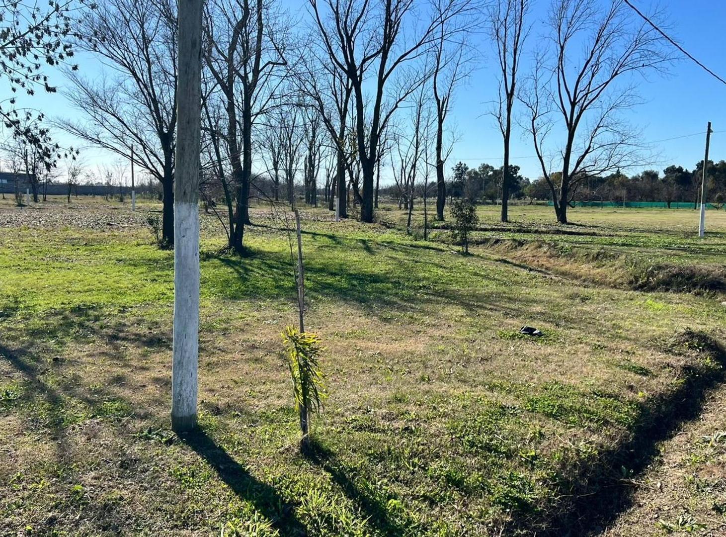 Foto de Venta de Lotes con Financiación en Barrio Luz del Pilar, imagen 5