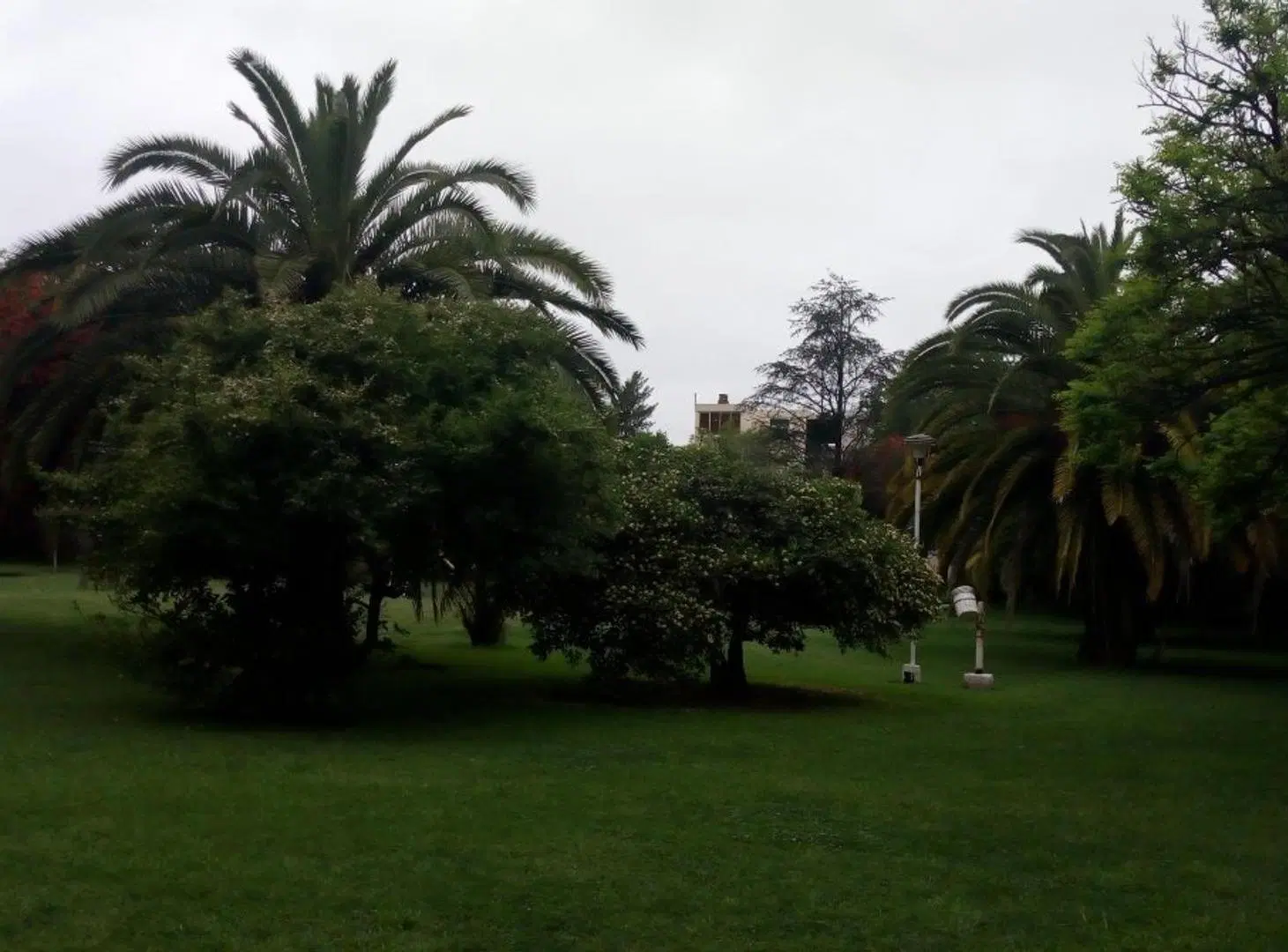 Dpto Barrio Viplastic Castillo Manzana 3 - piso 2 Longchamps 8
