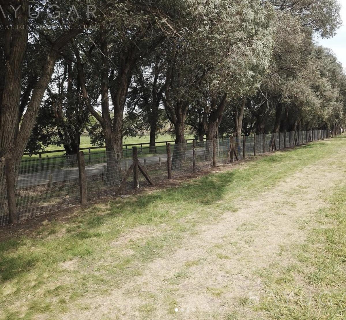 MCHICO – Lotes en Venta en Pilar - Financiación