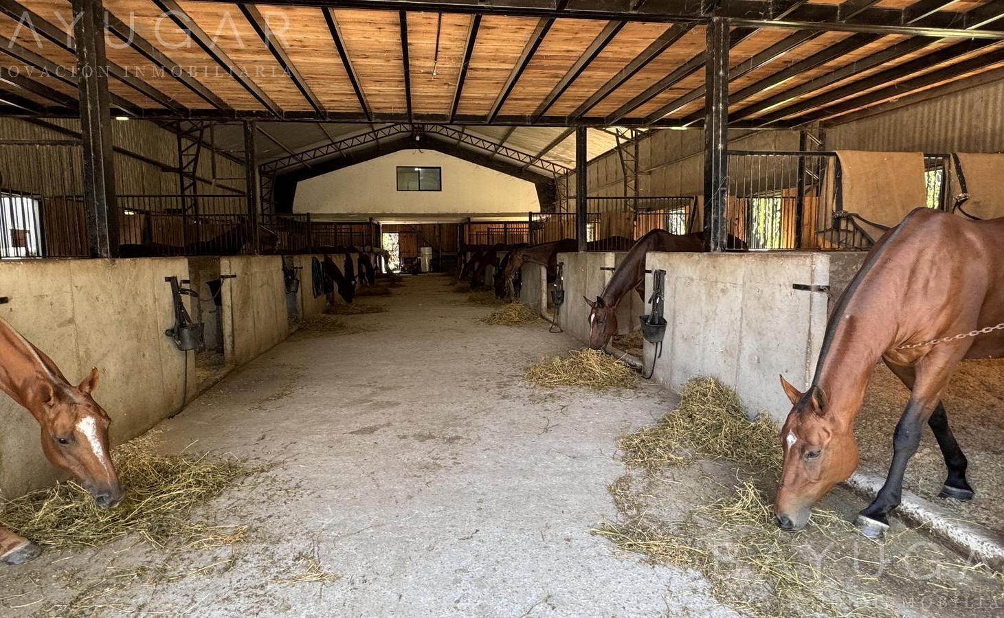 Foto de Lotes en Tessalia - Tierra de Centauros - Oportunidad de Inversión, imagen 3