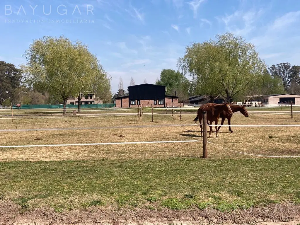 Oportunidad – Venta de Caballerizas en San Jorge Chico, General Rodríguez 2