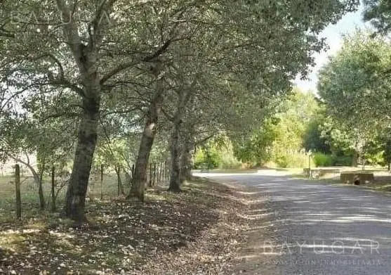 Venta - Lote Central en Club de Campo Santa Catalina - Open Door 4