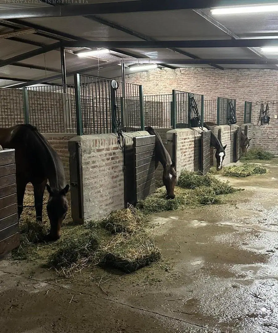 Oportunidad Única – Venta de Caballerizas y Lote en San Jorge Chico, General Rodríguez 8