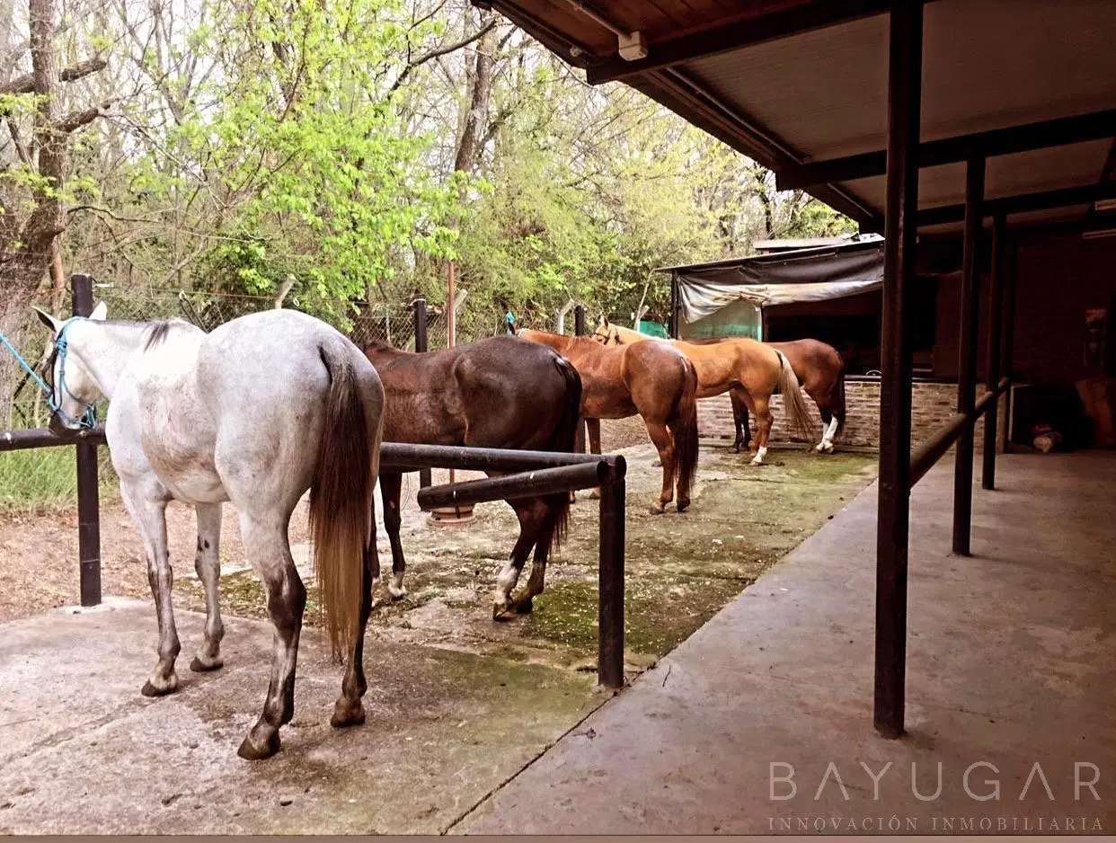 Oportunidad Única – Venta de Caballerizas y Lote en San Jorge Chico, General Rodríguez 2