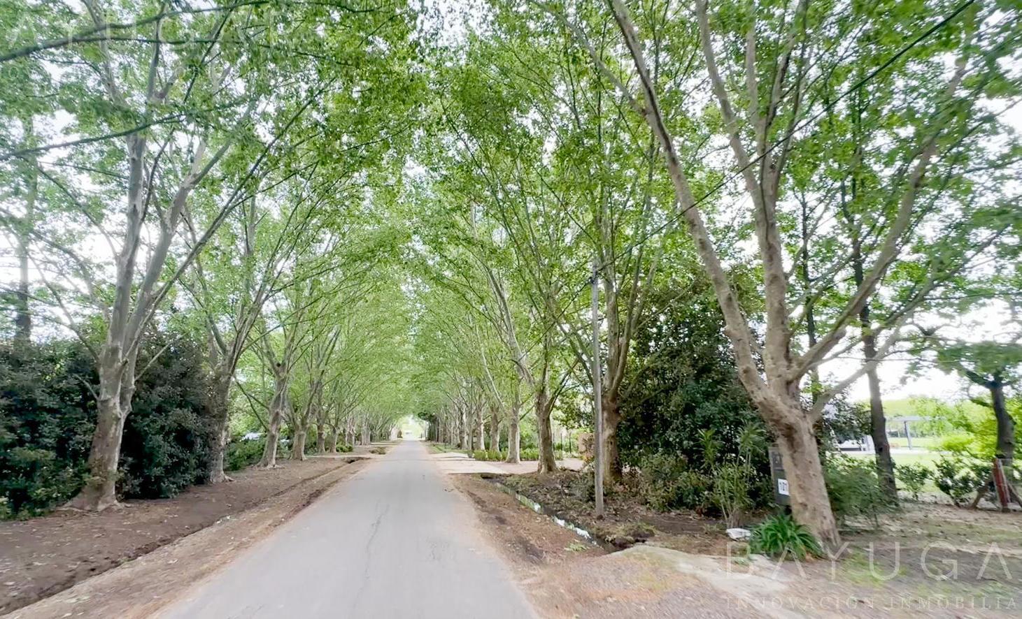 Foto de Venta - Gran Lote con Vista a la Cancha de Polo - Centauros, imagen 1