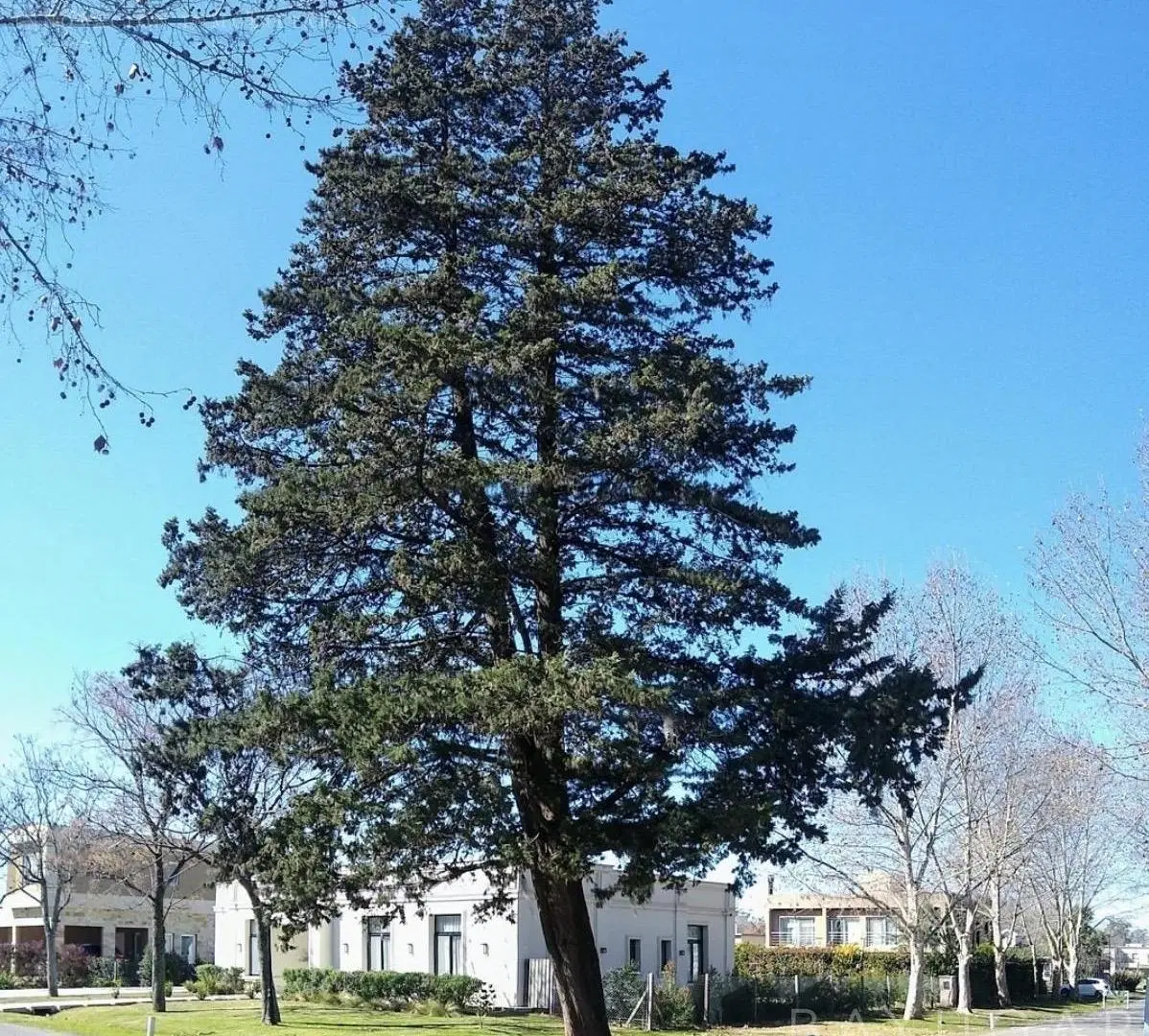 Terreno en Sausalito 5