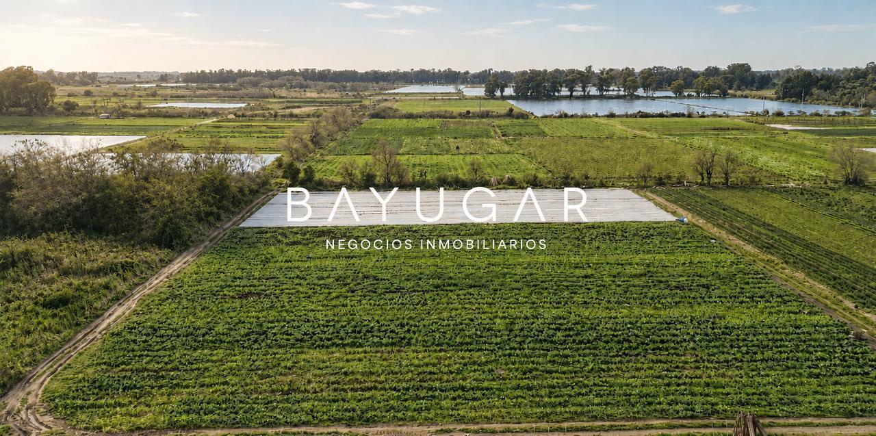 Foto de Venta de Campo en Pilar, imagen 1