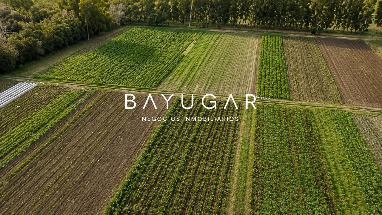 Foto de Venta de Campo en Pilar, imagen 3