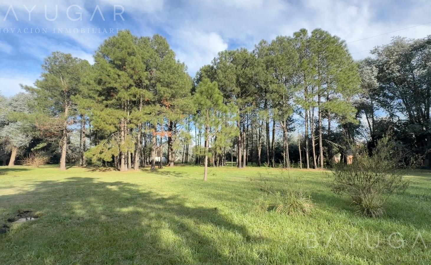 Foto de Venta Terreno - Pilar / Panamericana Km 52,5 - ACEPTA PERMUTA depto en, imagen 1