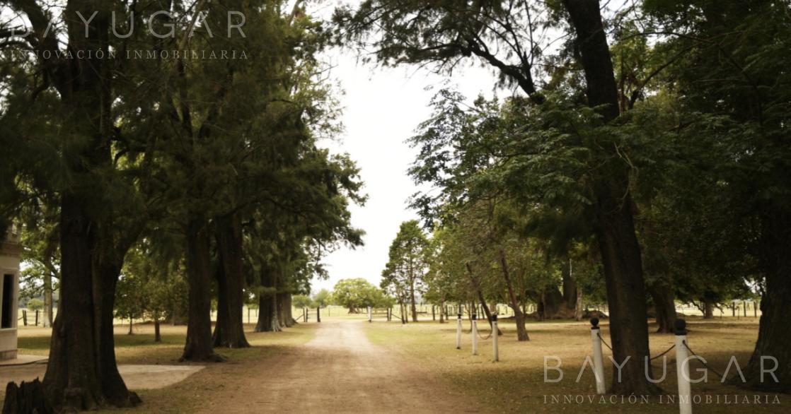 Foto de Venta Terreno - Tres Pinos Villa de Campo - General Rodriguez, imagen 4