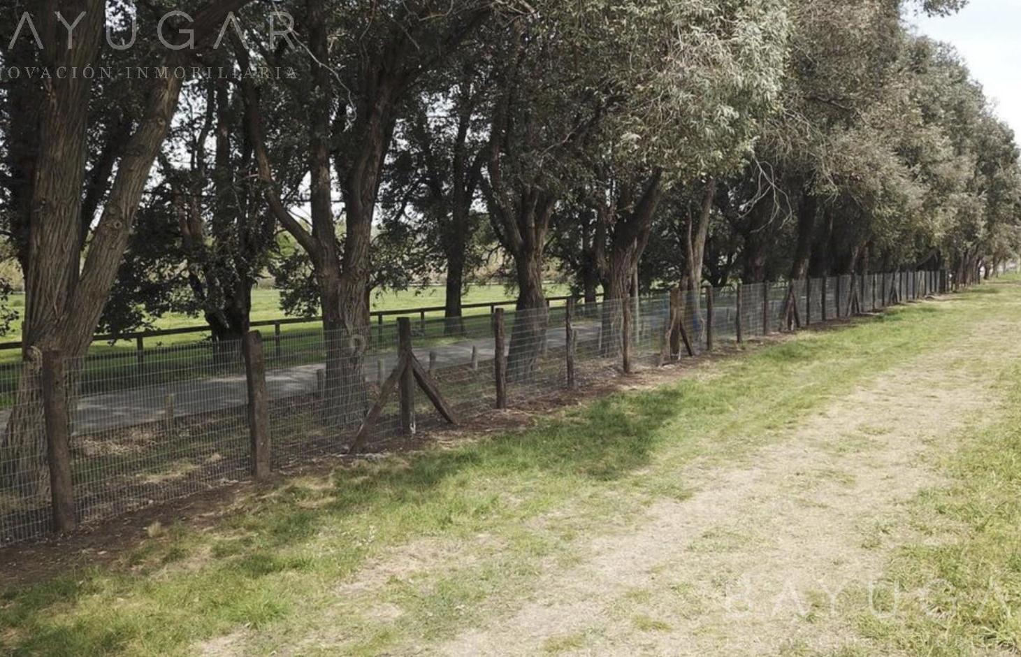 Foto de MCHICO – Lotes en Venta en Pilar - Financiación, imagen 3