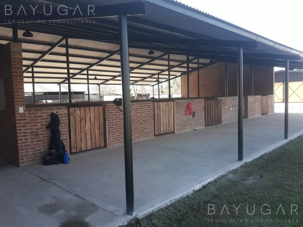 Foto de (A) - Oportunidad Única – Venta de Caballerizas en San Jorge Chico, imagen 3
