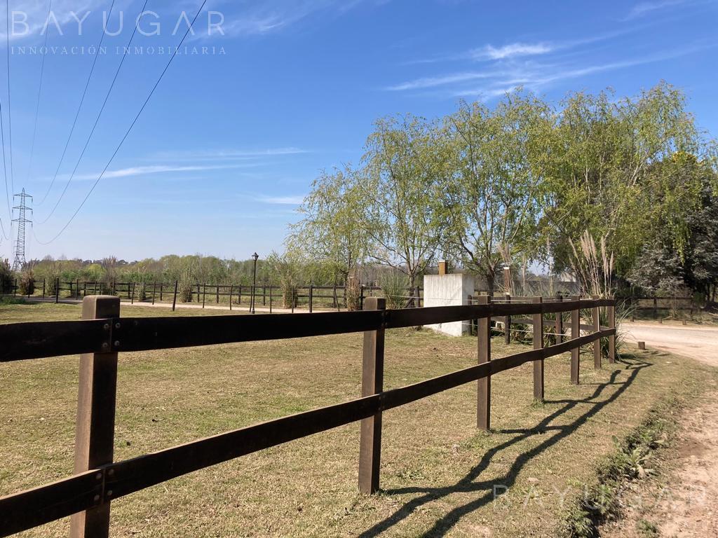 Foto de (A) - Oportunidad Única – Venta de Caballerizas en San Jorge Chico, imagen 4