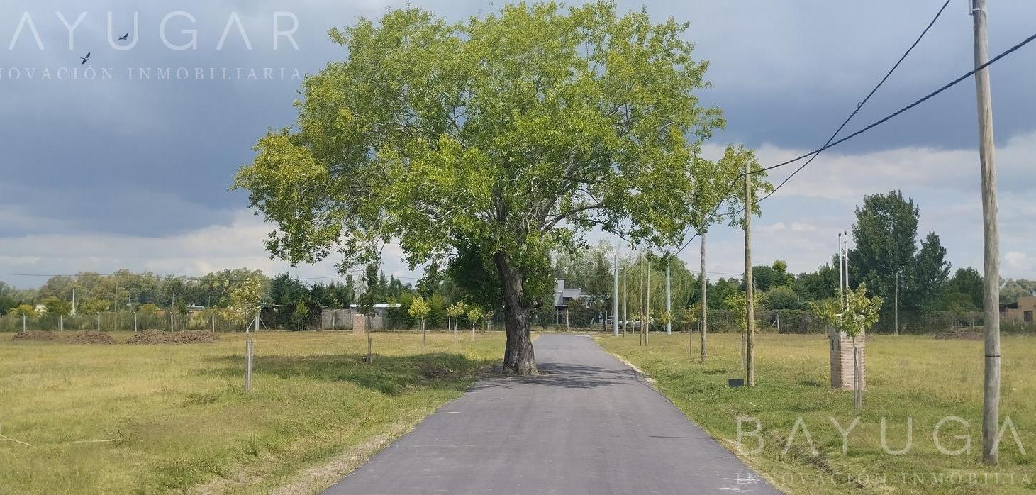 Foto de Venta Lote - Barrio El Aterrizaje / Escobar., imagen 5