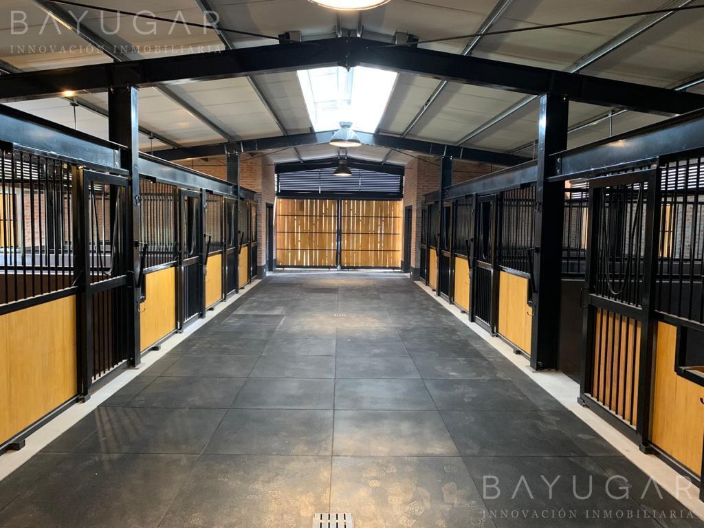 Foto de Oportunidad – Venta de Caballerizas en San Jorge Chico, General, imagen 4