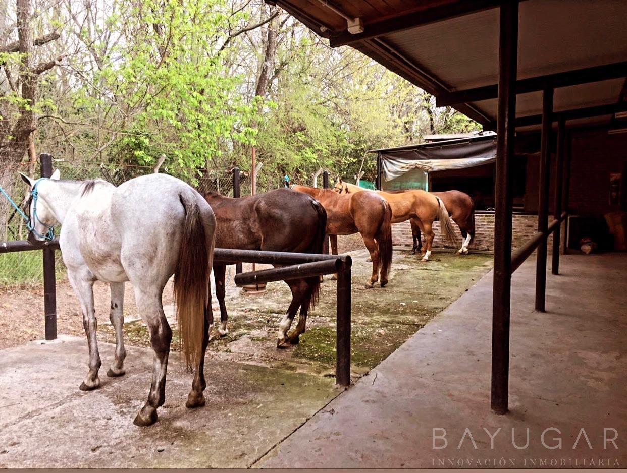 Foto de Oportunidad – Venta de Caballerizas en San Jorge Chico, General, imagen 3