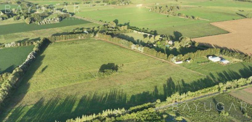 Foto de Venta Campo con Galpon - Excelente ubicación Ruta 34- Lujan, imagen 2
